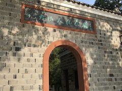 -八大山人梅湖景区
