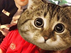 -淳沐源(观音桥店)