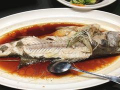 -老山东·山东菜(鲁菜名店)