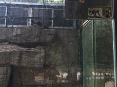 -泉州海丝野生动物世界