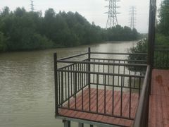 -崖口红树林海鲜餐厅
