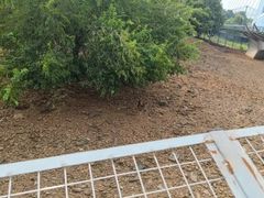 -合肥野生动物园