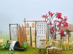 -玉苍山国家森林公园