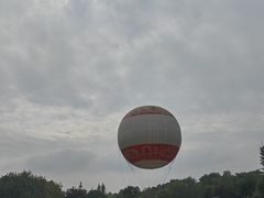 -东湖落雁景区