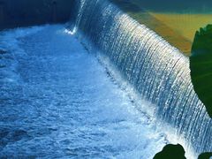 -广州白江湖森林公园