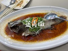 蒸青斑-东江海辉酒楼·公司团建·商务宴请·生日宴(宝安店)