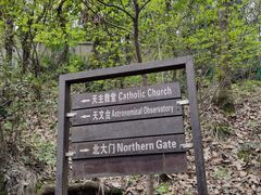 -上海佘山国家森林公园西佘山园