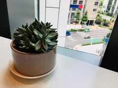 -花城苑广府菜(侨鑫店)