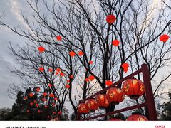 -武汉园博园(武汉自然博物馆)