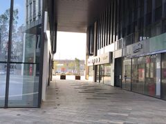 -瞄一喵猫咖(格力海岸店)