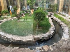 -北京德尔康尼骨科医院