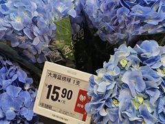 -资和信百货商场