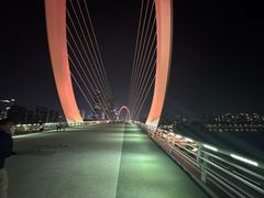 -南京眼步行桥