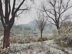 -黔灵山公园
