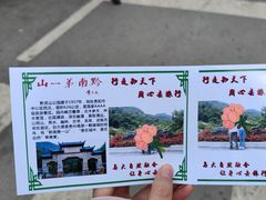 -黔灵山公园