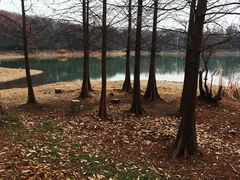 -紫霞湖公园