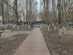 -长白岛森林公园