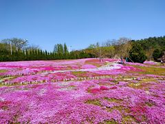-棒棰岛宾馆景区