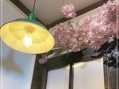-金龙咖喱