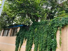 -四川大学(望江校区)