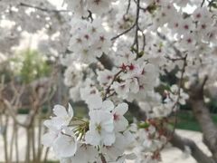 -青岛鑫江温德姆酒店