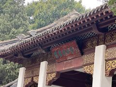 -紫光园·烤鸭·北京菜(团结湖店)