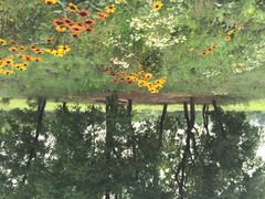 青松岭森林公园-东海森林温泉