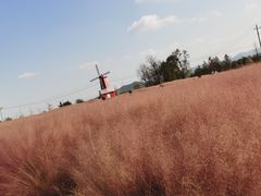 -羊亭河湿地公园