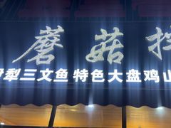 -蘑菇拌面•正宗新疆菜