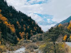 -卧龙自然保护区