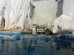 -太平洋海底世界