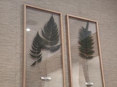 -小泉居(水坑尾店 )