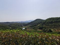-乌石村