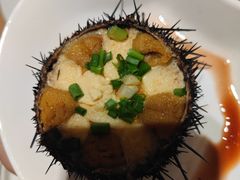 -连鹭海鲜·海肠捞饭·海胆饭(星海店)