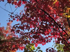 -九鼎铁刹山风景区