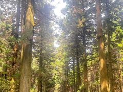 -上色见熊野座神社