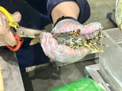 -亚马逊蒸汽活海鲜自助(LCM置汇旭辉广场店)