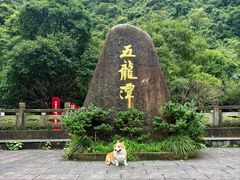-宁波五龙潭景区