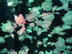 -多彩贵州城极地海洋世界