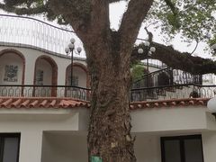 -澳门圣地牙哥古堡酒店