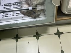 -爱佳宠物中心医院24H·CT·骨外科·猫专科(瑶海万达店)