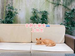 -胶囊画廊