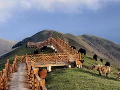 -硗碛藏寨·神木垒景区