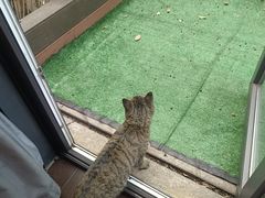 -扬州东关街文昌阁桔子水晶酒店