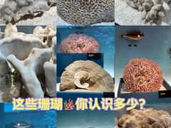 -中国湿地博物馆