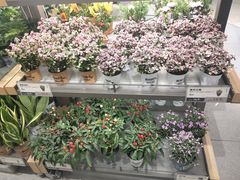 -鹿岛生活(熙地港店)
