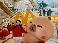 -麦当劳(新世纪环球中心店)