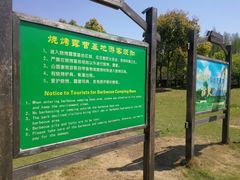 -崇明东平国家森林公园烧烤房车露营地