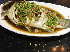 -销魂掌(卓锦曼购中心店)