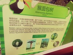 -正佳雨林生态植物园